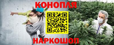 ГАЛЛЮЦИНОГЕННЫЕ ГРИБЫ Заводоуковск