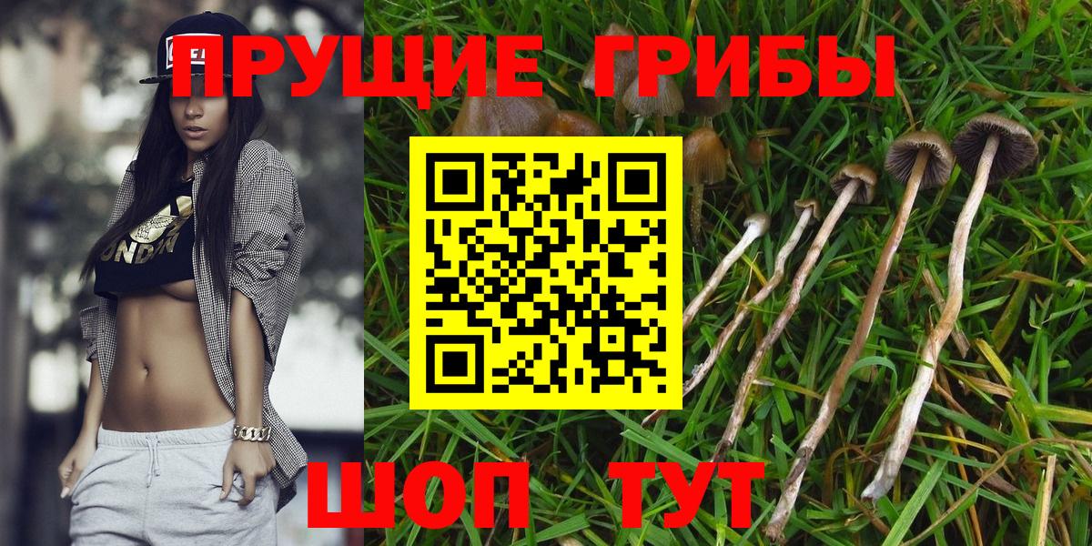 Галлюциногенные грибы Magic Shrooms  Вход с VPN  Людиново 